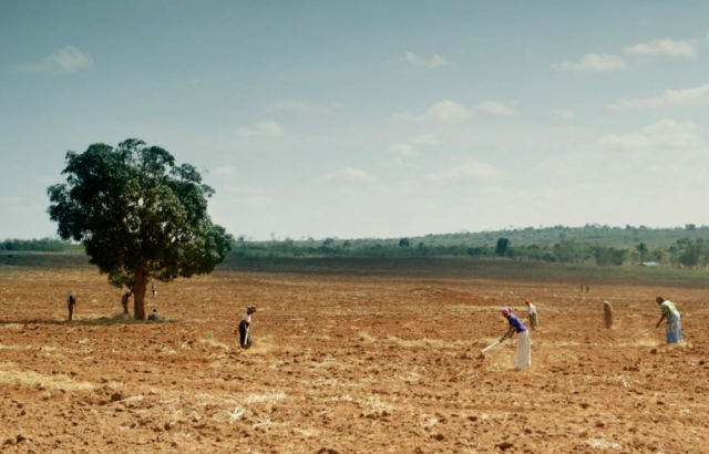 Pili, by Dr Sophie Harman