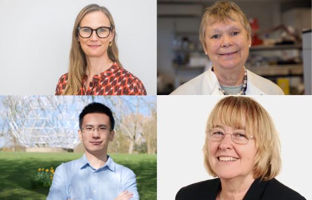 Headshots of Professors Frances Balkwill, Irene Leigh, and Claudia Langenberg and Dr Yongxin Yang