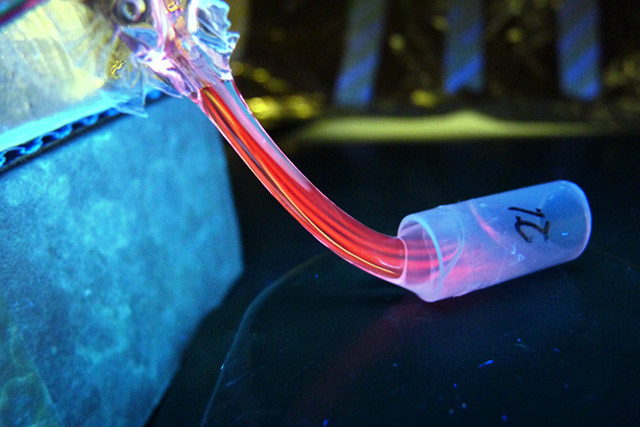 Fluorescently-labelled protein patterns within different types of 3D hydrogels