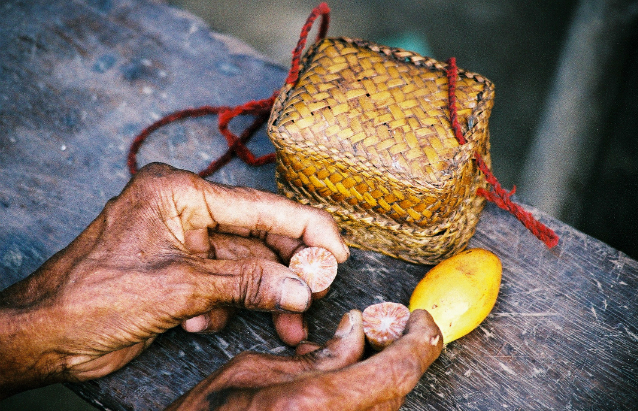 Social networks accelerate cultural evolution in hunter-gatherers
