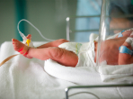 Premature baby in an incubator. Credit: CatEyePerspective/iStock.com