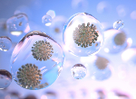 Coronavirus particles spread through tiny droplets of liquid floating through the air. Credit: fpm/iStock.com