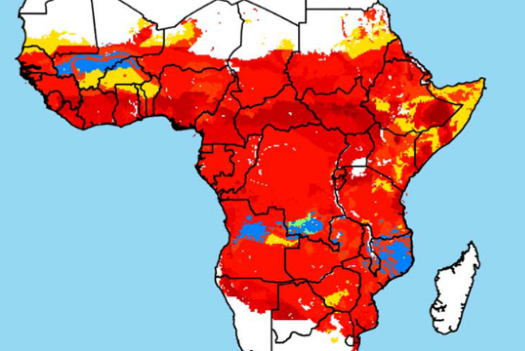Using mathematical modelling to save lives