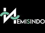 Nemisindo logo