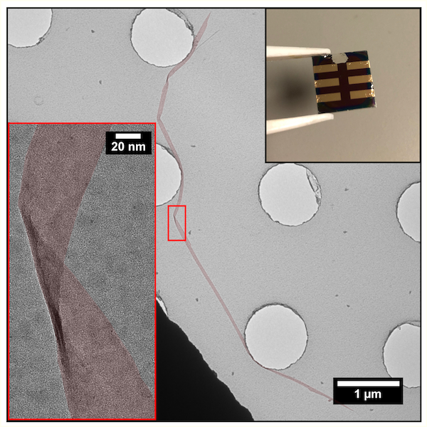 Phosphorene nanoribbons
