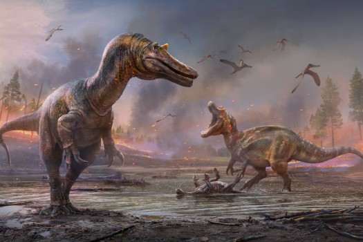 Two new species of large predatory dinosaur discovered on Isle of Wight