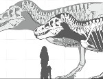 Skeleton of the currently largest - known T. rex skeleton ( foreground ) and the hypothesized largest possible giant. Credit: Mark Witton.