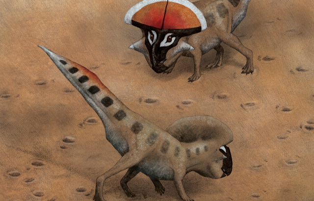 CREDIT: Rebecca Gelernter