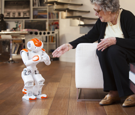 Credit: Aldebaran Robotics