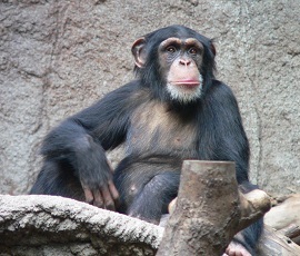 © Thomas Lersch 2005