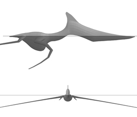 Computer simulation of pterosaurs