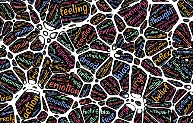 The SPARK Resilience Programme teaches pupils to control negative behavioural reactions