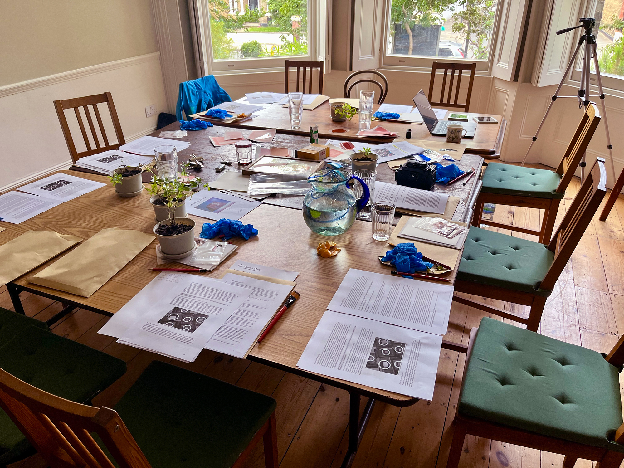 A room set up with table and chairs and workshop materials for gum diazo printmaking at the South London Botanical Institute