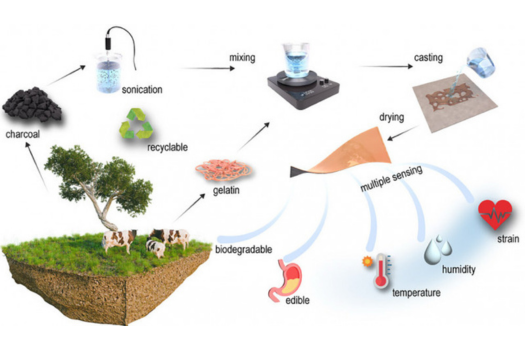 Edible, recyclable, biodegradable sensor films