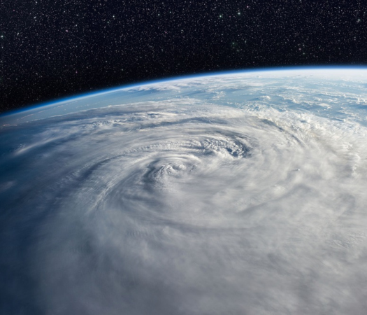 Environmental action