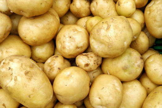 Starch nanocomposite films pave the way for green electronics 