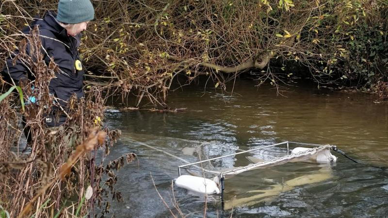 What&rsquo;s in the water? Measuring the impact of plastic pollution