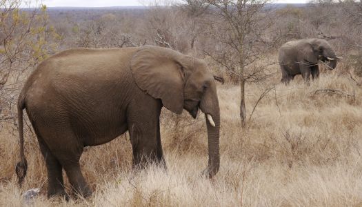 Lauryn's Field Trip Adventures