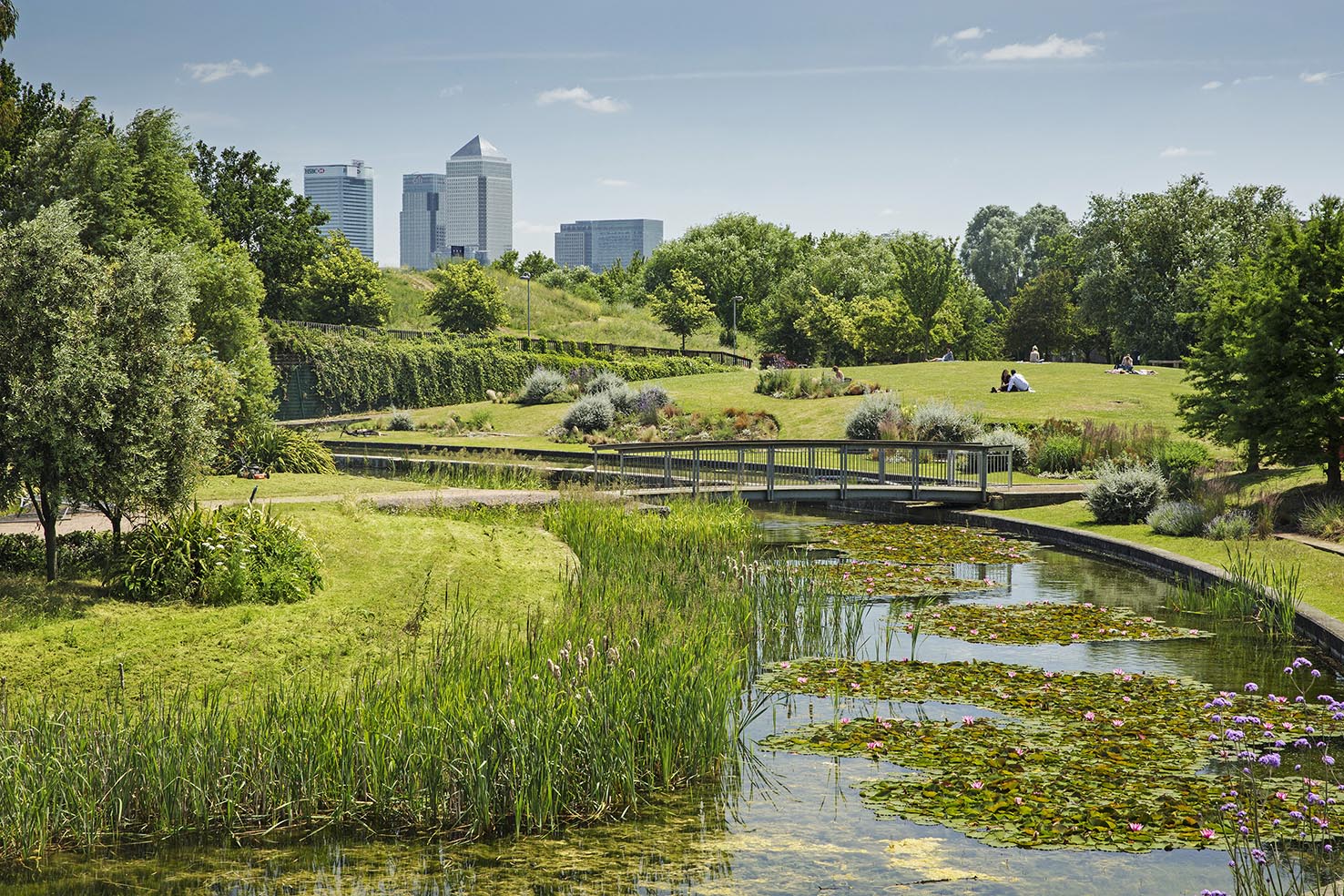 Mile End park showing nature and body of water.