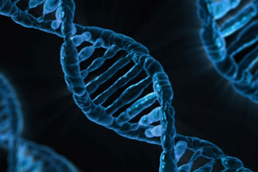 Precision Genomic Medicine