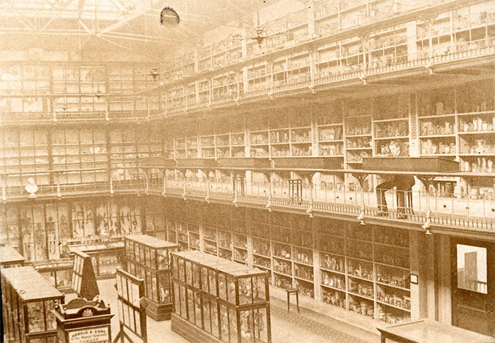 Barts Pathology Museum - photo courtesy of The Royal London Hospital Archives