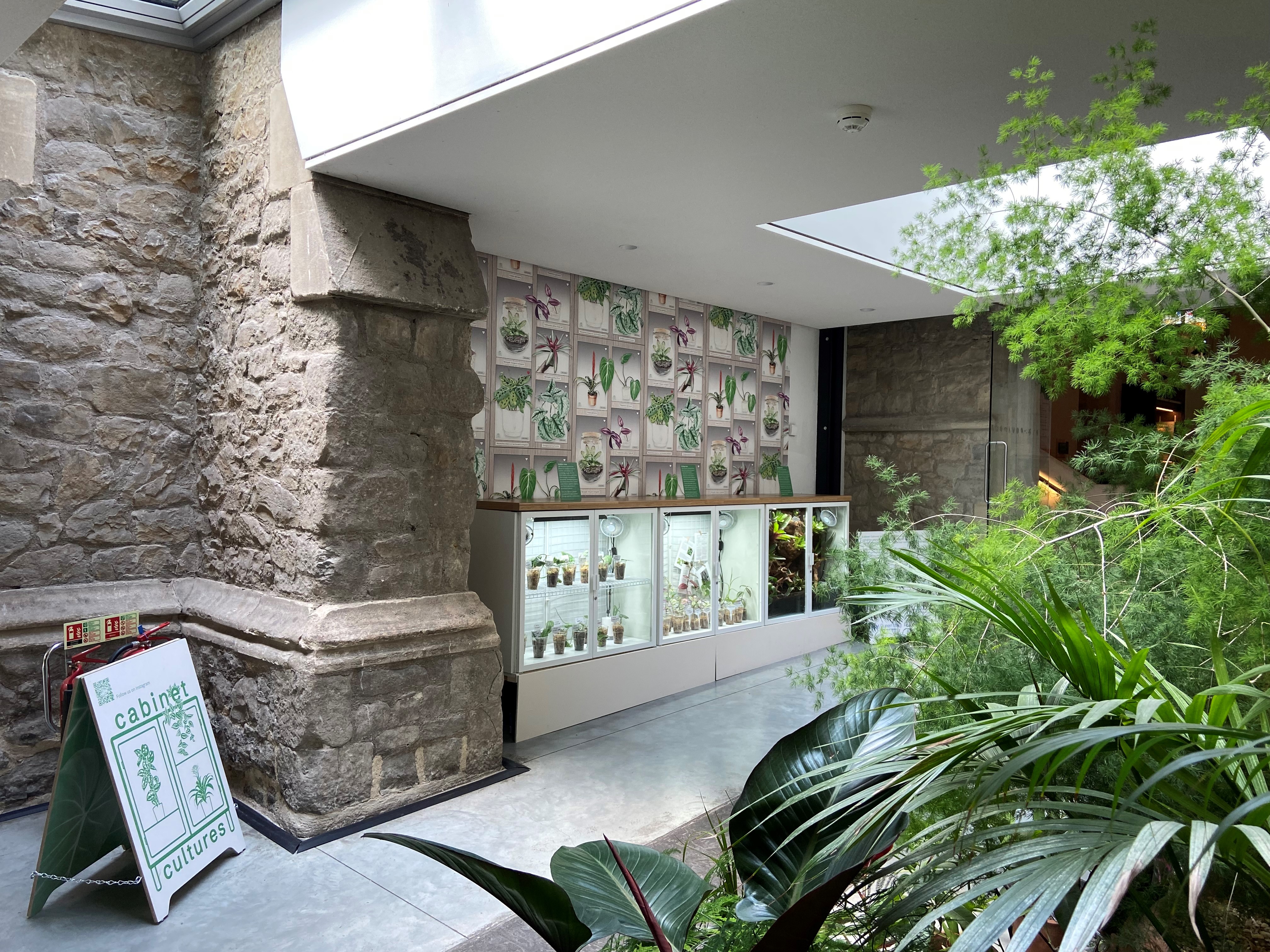 End of the year office plants repotting party