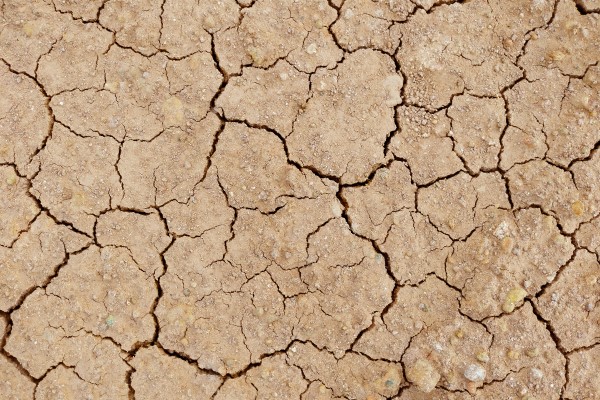 The Crisis of the Conservative International Order with Professor Michael C Williams