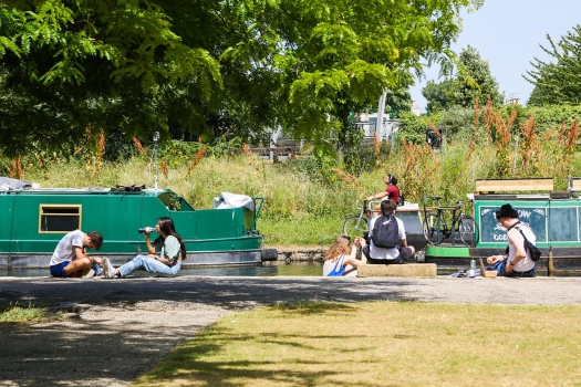 Sustainability in the curriculum