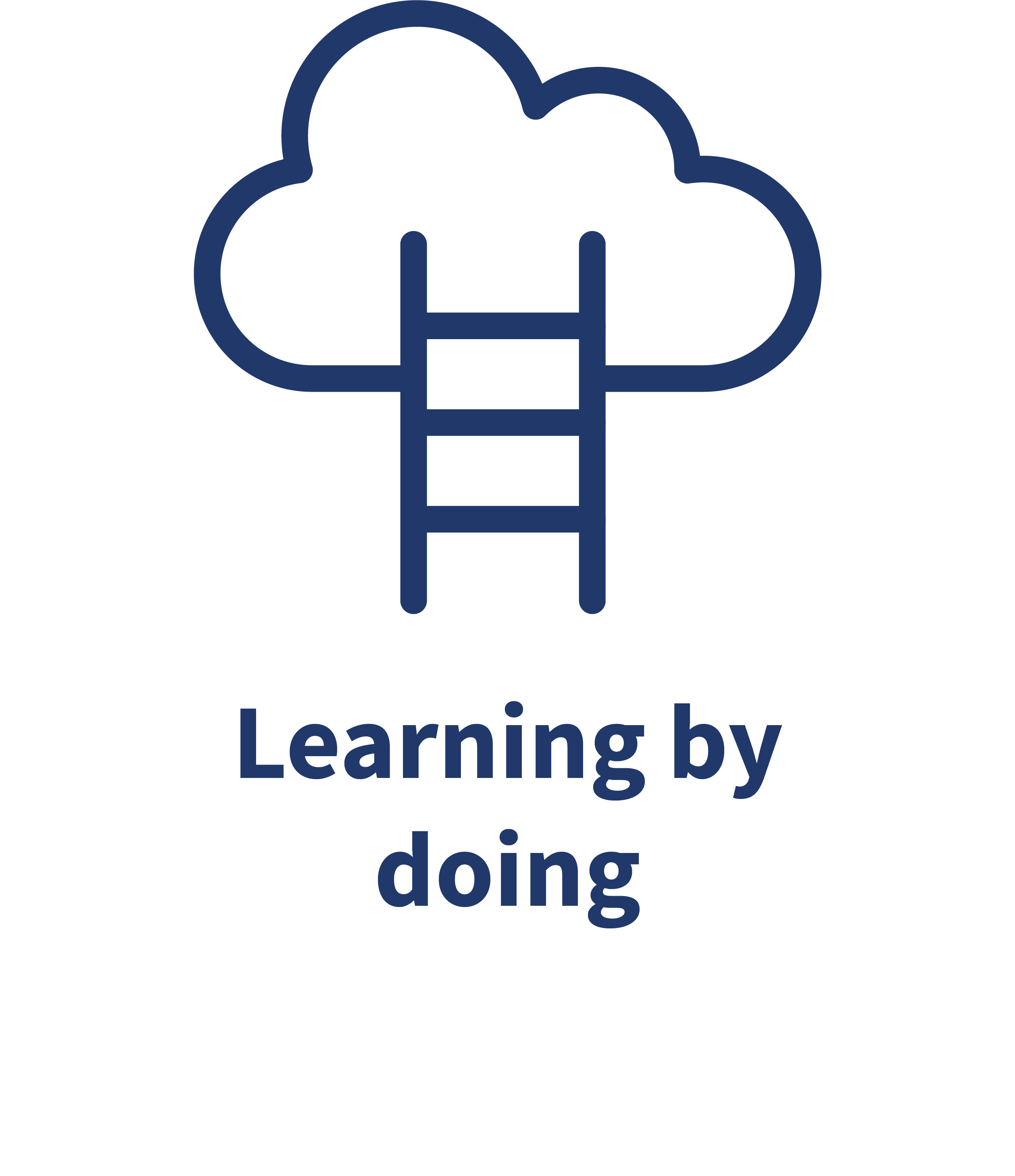 A ladder leading to a cloud withe the caption Learning by doing