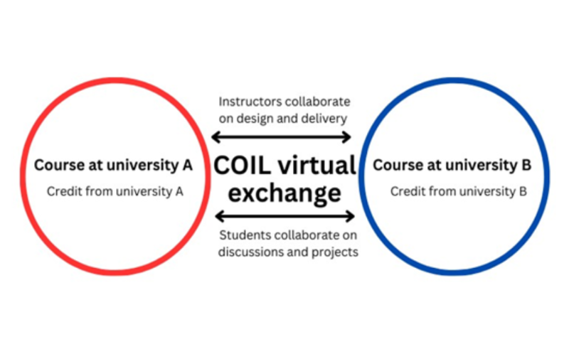 A graphical representation of a COIL virtual exchange