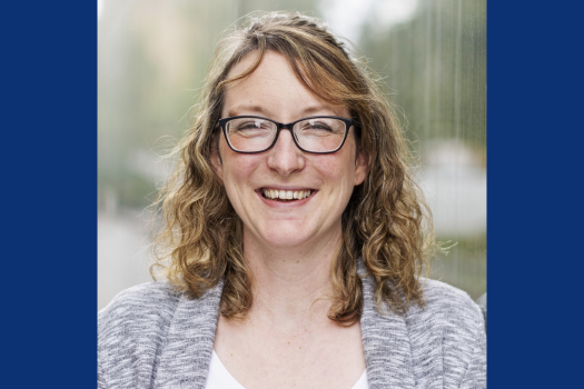 Professor Lesley Howell, School of Physical and Chemical Sciences