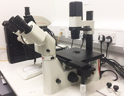 Microscope Three