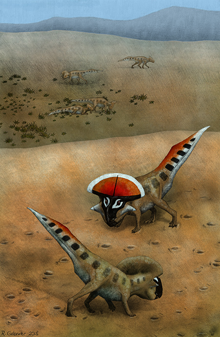 Life restoration of Protoceratops CREDIT: Rebecca Gelernter