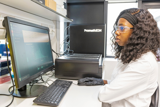 Careers and Employability