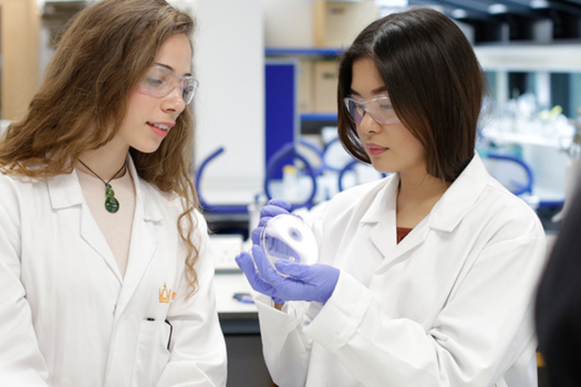 Skills Development and Employability