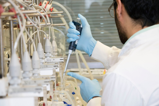 Postgraduate Research