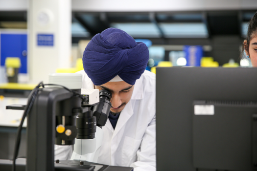 Undergraduate Programmes