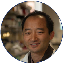 Photo of Dr Jun Wang