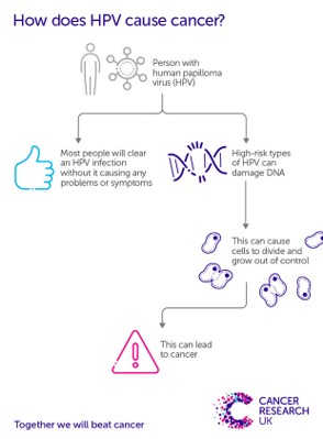 HPV